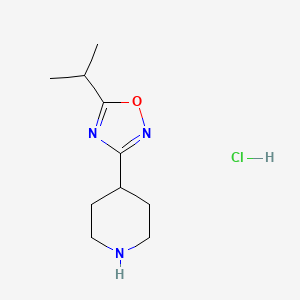 molecular formula C10H18ClN3O B1428554 5-Isopropyl-3-(piperidin-4-yl)-1,2,4-oxadiazole hydrochloride CAS No. 913264-44-5