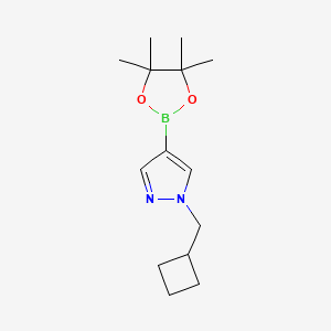 molecular formula C14H23BN2O2 B1428744 1-(cyclobutylmethyl)-4-(4,4,5,5-tetramethyl-1,3,2-dioxaborolan-2-yl)-1H-pyrazole CAS No. 1233526-47-0
