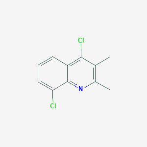 molecular formula C11H9Cl2N B1428757 4,8-Dichloro-2,3-dimethylquinoline CAS No. 1203-46-9