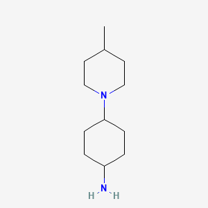 molecular formula C12H24N2 B1428840 4-(4-Methylpiperidin-1-yl)cyclohexan-1-amine CAS No. 1340279-09-5