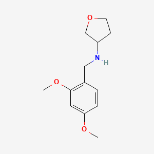 molecular formula C13H19NO3 B1428955 N-[(2,4-dimethoxyphenyl)methyl]oxolan-3-amine CAS No. 1539195-46-4