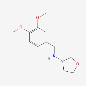 molecular formula C13H19NO3 B1428957 n-(3,4-Dimethoxybenzyl)tetrahydrofuran-3-amine CAS No. 1406115-93-2