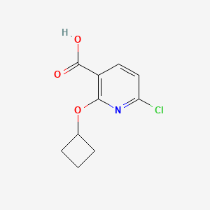 6-Chloro-2-cyclobutoxypyridine-3-carboxylic acid