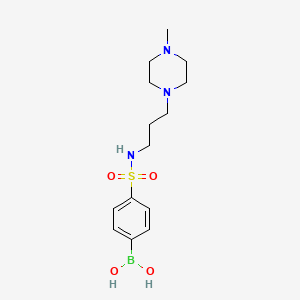 molecular formula C14H24BN3O4S B1429275 (4-(N-(3-(4-Methylpiperazin-1-yl)propyl)sulfamoyl)phenyl)boronic acid CAS No. 486422-69-9