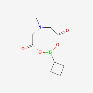 molecular formula C9H14BNO4 B1429335 Cyclobutylboronic acid MIDA ester CAS No. 1104637-37-7
