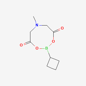 molecular formula C9H14BNO4 B1429335 2-Cyclobutyl-6-methyl-1,3,6,2-dioxazaborocane-4,8-dione CAS No. 1104637-37-7