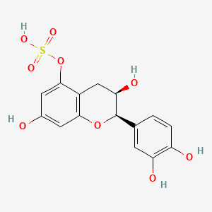 Epicatechin-5-sulfate