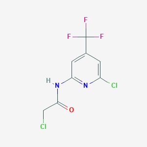 2-Chloro-N-(6-chloro-4-trifluoromethyl-pyridin-2-yl)-acetamide