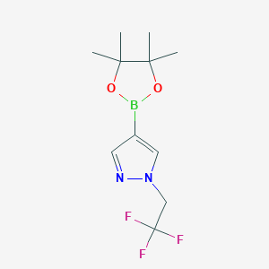 molecular formula C11H16BF3N2O2 B1429869 4-(4,4,5,5-tetramethyl-1,3,2-dioxaborolan-2-yl)-1-(2,2,2-trifluoroethyl)-1H-pyrazole CAS No. 1049730-42-8