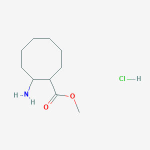 molecular formula C10H20ClNO2 B1429899 Methyl 2-aminocyclooctane-1-carboxylate hydrochloride CAS No. 1384431-18-8