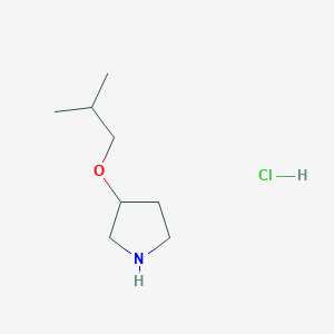 molecular formula C8H18ClNO B1429943 3-(2-Methylpropoxy)pyrrolidine hydrochloride CAS No. 1394042-72-8