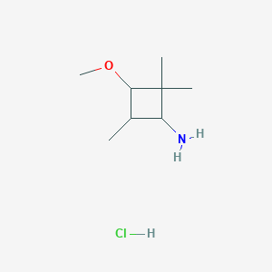 molecular formula C8H18ClNO B1430001 3-Methoxy-2,2,4-trimethylcyclobutan-1-amine hydrochloride CAS No. 1432681-82-7