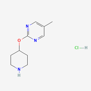 molecular formula C10H16ClN3O B1430038 5-Methyl-2-(piperidin-4-yloxy)pyrimidine hydrochloride CAS No. 1432679-14-5