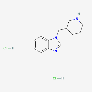 molecular formula C13H19Cl2N3 B1430073 1-(piperidin-3-ylmethyl)-1H-1,3-benzodiazole dihydrochloride CAS No. 1351654-13-1