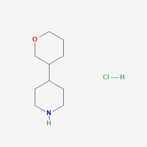 molecular formula C10H20ClNO B1430102 4-(Oxan-3-yl)piperidine hydrochloride CAS No. 1443980-30-0