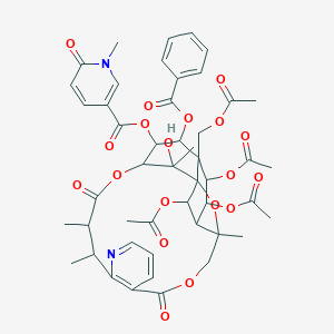 molecular formula C48H52N2O19 B143014 Hippocrateine I CAS No. 132185-31-0