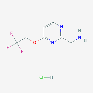 molecular formula C7H9ClF3N3O B1430151 (4-(2,2,2-Trifluoroethoxy)pyrimidin-2-YL)methanamine hydrochloride CAS No. 1196154-15-0