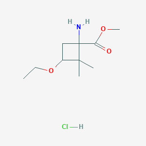 molecular formula C10H20ClNO3 B1430476 Methyl 1-amino-3-ethoxy-2,2-dimethylcyclobutane-1-carboxylate hydrochloride CAS No. 1796887-55-2