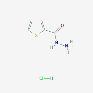 Thiophene-2-carbohydrazide hydrochloride