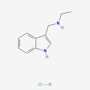molecular formula C11H15ClN2 B1430752 ethyl[(1H-indol-3-yl)methyl]amine hydrochloride CAS No. 1797350-28-7