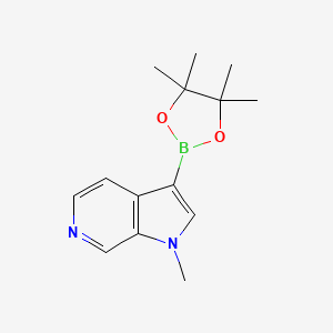 molecular formula C14H19BN2O2 B1431109 1-methyl-3-(tetramethyl-1,3,2-dioxaborolan-2-yl)-1H-pyrrolo[2,3-c]pyridine CAS No. 1501153-45-2