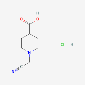 molecular formula C8H13ClN2O2 B1431136 1-(Cyanomethyl)piperidine-4-carboxylic acid hydrochloride CAS No. 1426290-75-6
