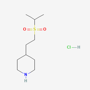 molecular formula C10H22ClNO2S B1431183 4-[2-(Propane-2-sulfonyl)ethyl]piperidine hydrochloride CAS No. 1864062-06-5