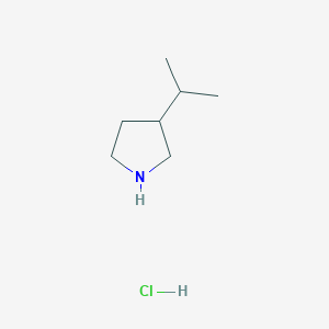 molecular formula C7H16ClN B1431257 3-(Propan-2-yl)pyrrolidine hydrochloride CAS No. 1384429-21-3