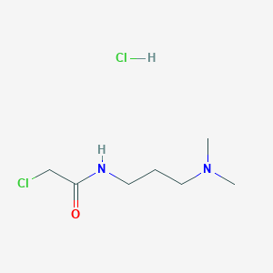 molecular formula C7H16Cl2N2O B1431303 2-chloro-N-[3-(dimethylamino)propyl]acetamide hydrochloride CAS No. 42951-85-9