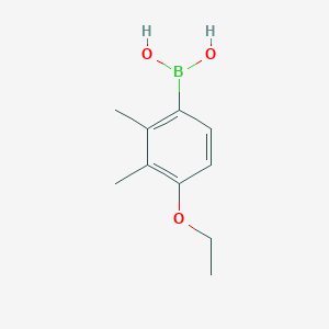 molecular formula C10H15BO3 B1431470 4-Ethoxy-2,3-dimethylphenylboronic acid CAS No. 1451391-67-5