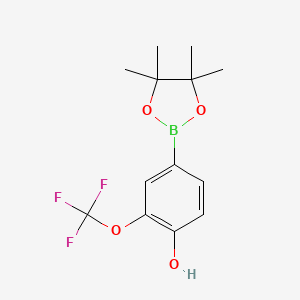 molecular formula C13H16BF3O4 B1431494 4-(4,4,5,5-Tetramethyl-1,3,2-dioxaborolan-2-yl)-2-(trifluoromethoxy)phenol CAS No. 1350989-48-8