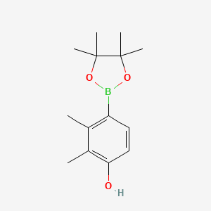 molecular formula C14H21BO3 B1431504 2,3-Dimethyl-4-(4,4,5,5-tetramethyl-1,3,2-dioxaborolan-2-yl)phenol CAS No. 1487353-47-8