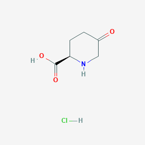 molecular formula C6H10ClNO3 B1431543 (2R)-5-Oxo-piperidine-2-carboxylic acid hydrochloride CAS No. 1427203-51-7