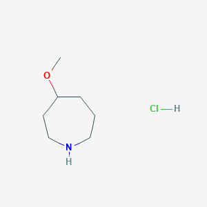 molecular formula C7H16ClNO B1431584 4-Methoxyazepane hydrochloride CAS No. 1408076-34-5