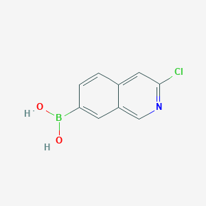 (3-Chloroisoquinolin-7-yl)boronic acid