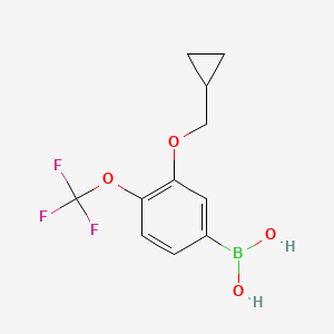 molecular formula C11H12BF3O4 B1431622 3-(Cyclopropylmethoxy)-4-(trifluoromethoxy)phenylboronic acid CAS No. 1793003-76-5