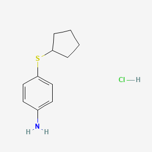 molecular formula C11H16ClNS B1431768 4-(Cyclopentylsulfanyl)aniline hydrochloride CAS No. 1423034-36-9