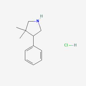 molecular formula C12H18ClN B1431775 3,3-Dimethyl-4-phenylpyrrolidine hydrochloride CAS No. 1423034-41-6