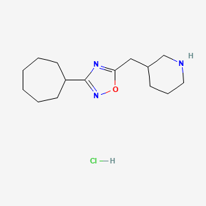 molecular formula C15H26ClN3O B1431789 3-[(3-Cycloheptyl-1,2,4-oxadiazol-5-yl)methyl]piperidine hydrochloride CAS No. 1423031-86-0