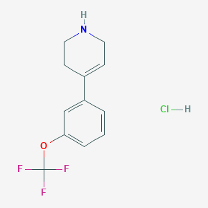 molecular formula C12H13ClF3NO B1431824 4-[3-(Trifluoromethoxy)phenyl]-1,2,3,6-tetrahydropyridine hydrochloride CAS No. 1427380-86-6