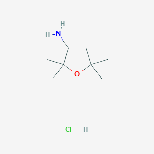 molecular formula C8H18ClNO B1432127 2,2,5,5-Tetramethyltetrahydrofuran-3-amine hydrochloride CAS No. 857789-97-0
