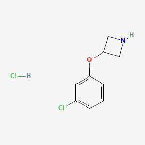 molecular formula C9H11Cl2NO B1432170 3-(3-Chlorophenoxy)azetidine hydrochloride CAS No. 1236861-74-7