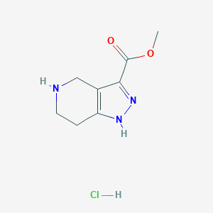 molecular formula C8H12ClN3O2 B1432219 Methyl 4,5,6,7-tetrahydro-1H-pyrazolo[4,3-c]pyridine-3-carboxylate hydrochloride CAS No. 1609400-85-2