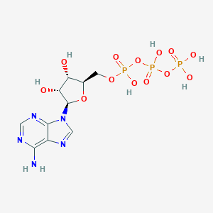molecular formula C10H16N5O13P3 B143271 Adenosine-5'-triphosphate CAS No. 126339-06-8