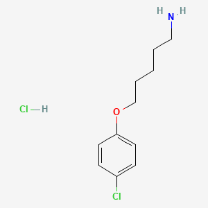 molecular formula C11H17Cl2NO B1432863 5-(4-Chlorophenoxy)pentan-1-amine hydrochloride CAS No. 161523-72-4
