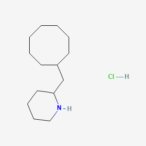 2-(Cyclooctylmethyl)piperidine hydrochloride