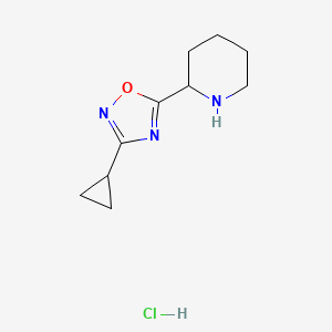 molecular formula C10H16ClN3O B1432936 2-(3-Cyclopropyl-1,2,4-oxadiazol-5-yl)piperidine hydrochloride CAS No. 1385696-48-9