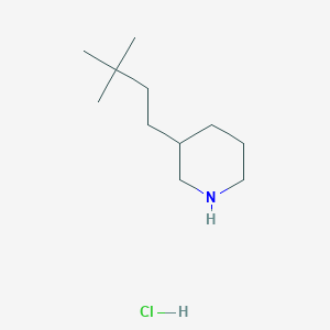molecular formula C11H24ClN B1432941 3-(3,3-Dimethylbutyl)piperidine hydrochloride CAS No. 1864074-17-8