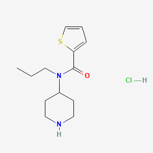N-(piperidin-4-yl)-N-propylthiophene-2-carboxamide hydrochloride