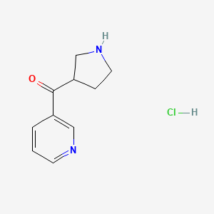 molecular formula C10H13ClN2O B1433048 Pyridin-3-yl(pyrrolidin-3-yl)methanone hydrochloride CAS No. 1864052-53-8